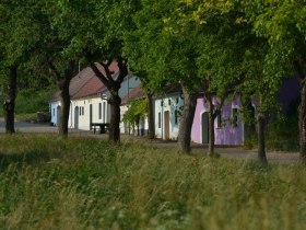 Winzerhaus, © Donau Niederösterreich - Kamptal-Wagram-Tullner Donauraum