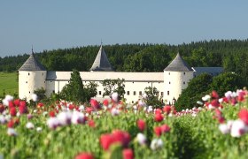 Schloss Ottenschlag, © Martin Rehberger