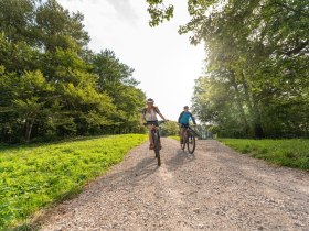 MTB Wienerwald, © Wienerwald Tourismus GmbH / Christoph Kerschbaum