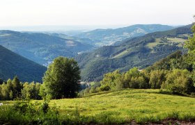 Ausblick vom Muckenkogel, © weinfranz.at