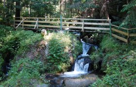 Loseneggerklamm am Kneippweg in St. Oswald, © Gemeinde St. Oswald, Leo Baumberger