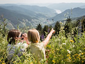 Ausblick vom Jauerling, © Martina Siebenhandl