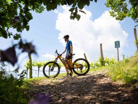 Mountainbiker genießt die Aussicht, © Donau NÖ Tourismus/Barbara Elser