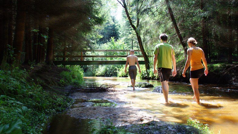 Gasthof Einfalt | Wandern im Waldviertel, © Familie Einfalt