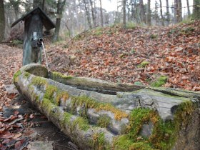 Föhrenbrunnen, © Wienerwald