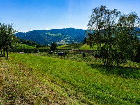 Erster Blick auf Pöggstall, © Gottfried Grossinger