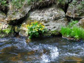 Höllbach, © Gottfried Grossinger