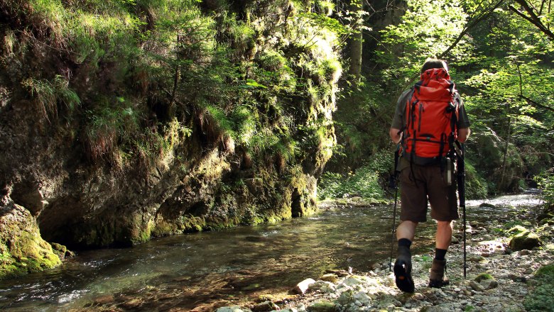 Falkenschlucht Türnitz, © weinfranz.at