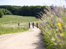 MTB Wienerwald, © Wienerwald Tourismus GmbH / Markus Frühmann