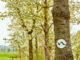 Markierung am Weitwanderweg Nibelungengau, © Donau NÖ Tourismus/Klaus Engelmayer