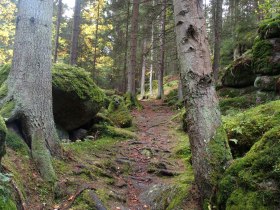 Lohnbachfallweg, © Waldviertel Tourismus