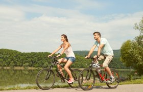 Radeln am Donauradweg im Nibelungengau, © Donau NÖ Tourismus/Klaus Engelmayer