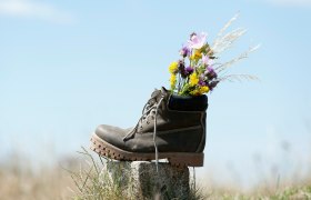 Wandern im Weinviertel, © Weinviertel Tourismus / Himml