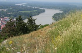 Aussicht Braunsberg, © Gästeinfobüro Hainburg/Donau