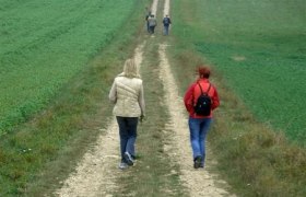 Rundwanderweg Großweikersdorf, © Marktgemeinde Großweikersdorf