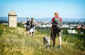 Wandern am 1.Wiener Wasserleitungswanderweg, © Wiener Wasser/Zinner