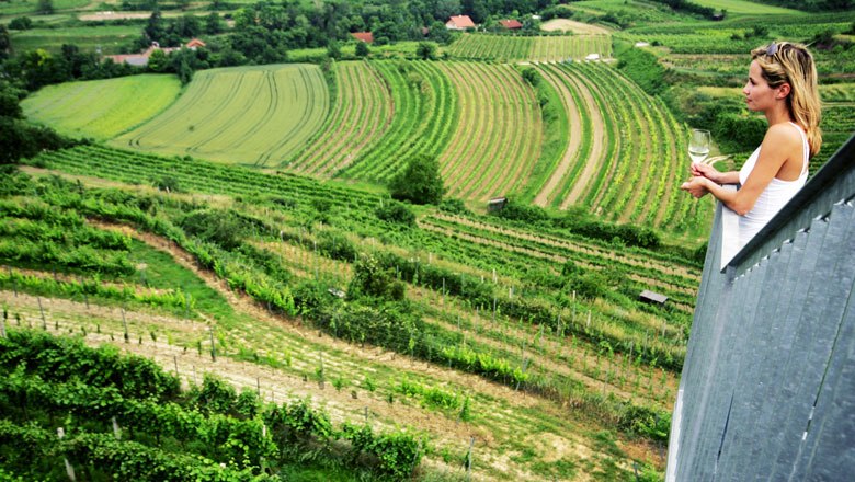 Výhľad na údolie Traisental, © weinfranz.at