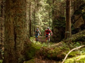 Granittrail, © Waldviertel Tourismus, Erwin Haiden