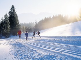 Langlaufen in Mitterbach am Erlaufsee, © Fred Lindmoser