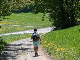 Am Weg Hutwisch - Guglhupf, © Walter Laschober