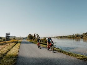 Radeln in Au an der Donau, © WGD Donau Oberösterreich Tourismus GmbH