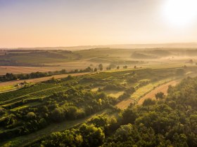 Herbstlandschaft Wagram, © Donau Niederösterreich - Kamptal-Wagram-Tullner Donauraum