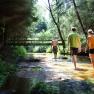 Gasthof Einfalt | Wandern im Waldviertel, © Familie Einfalt