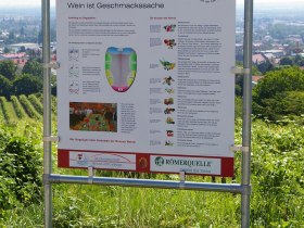 Schautafel - Wein ist Geschmacksache, © Wienerwald Tourismus GmbH / Weinbauverein Brunn