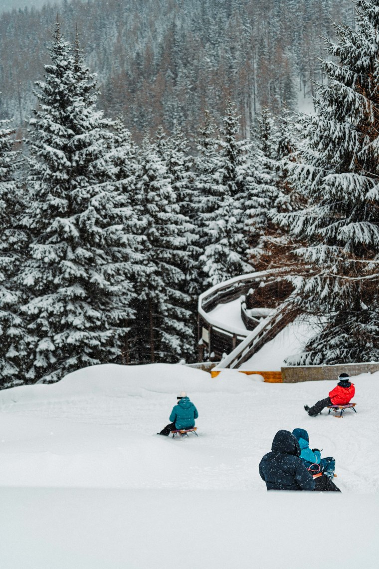 Zasneženou krajinou na saniach, © Semmering Hirschenkogel