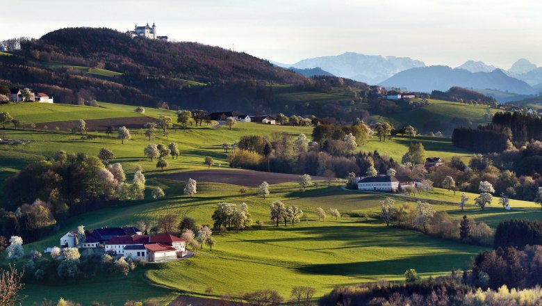 Pútnická bazilika Sonntagberg, © weinfranz.at