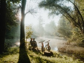 Radeln im Wald Au an der Donau, © WGD Donau Oberösterreich Tourismus GmbH