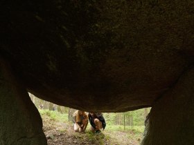 Steinerne Stube, © Waldviertel Tourismus