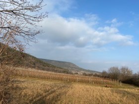 Weinberge bei Winzendorf, © Wiener Alpen in Niederösterreich