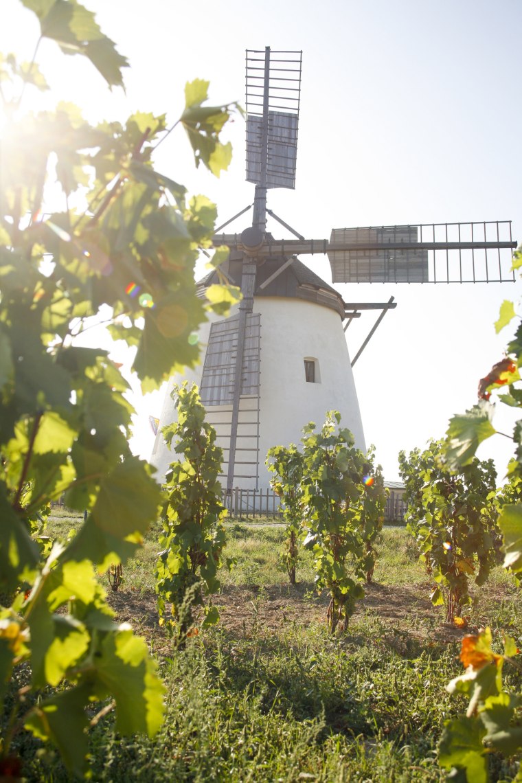 Vychutnajte si nádherný výhľad nad Retzom, © Weinviertel Tourismus/ Bartl