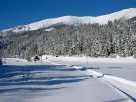 6/1 ZWEILÄNDERLOIPEN - Sonnenloipe, © Nordisches Zentrum St. Aegyd