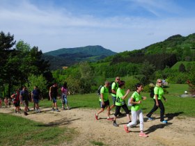 Blick zum Ostrong, © Gottfried Grossinger