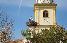 WAB - Regionale Route B: Krumbach - Maria Schnee, © Wiener Alpen in Niederösterreich