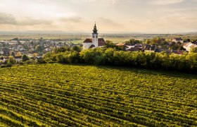 Kirchberg am Wagram, © Donau Niederösterreich - Kamptal-Wagram-Tullner Donauraum