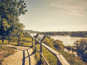 Donaublick bei der Ruine Röthelstein, © Donau Niederösterreich Tourismus, Andreas Hofer