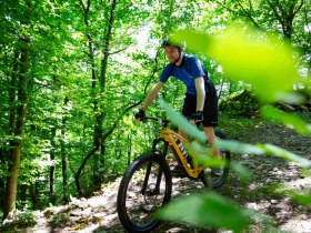 Mountainbiker auf dem Singletrail, © Donau NÖ Tourismus/Barbara Elser