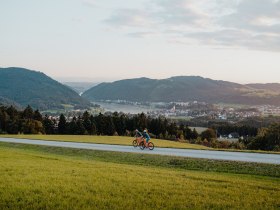 Radfahren mit Blick auf Grein, © WGD Donau Oberösterreich Tourismus GmbH