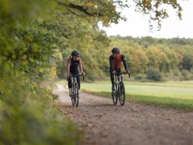 Gravelbiken im Wienerwald, © Niederösterreich Werbung/Markus Frühmann