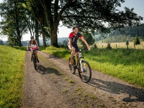 MTB Waldviertel, © Waldviertel Tourismus, Studio Kerschbaum