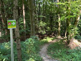 Pyhra Trail, © MTB-Initiative St.Pölten