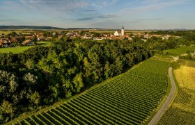 Stetteldorf am Wagram, © Donau Niederösterreich - Kamptal-Wagram-Tullner Donauraum