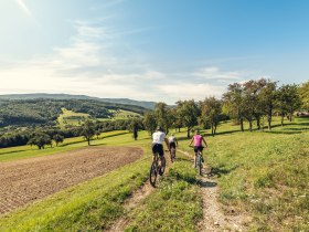 Wiental-Elsbeere-Genuss-Tour _ MTB Trekking durch den westlichen Wienerwald, © Christoph Kerschbaum_www.ishottpeople.at