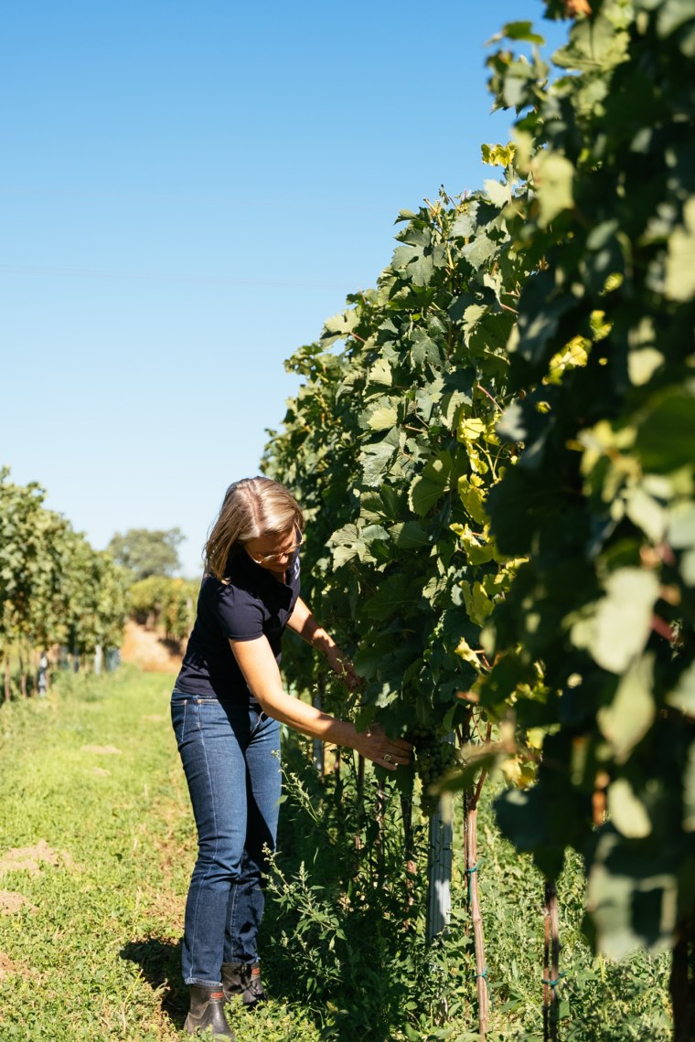 Weingut Riegelhofer., © Niederösterreich Werbung/Daniel Gollner