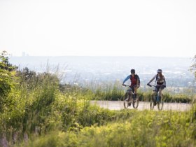 MTB Wienerwald, © Wienerwald Tourismus GmbH / Markus Frühmann