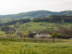 Fotopunkt Zeilinger, © schwarz-koenig.at