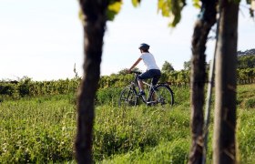 Radfahren in der Region Traisental-Donau, © Mostviertel